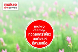 makro