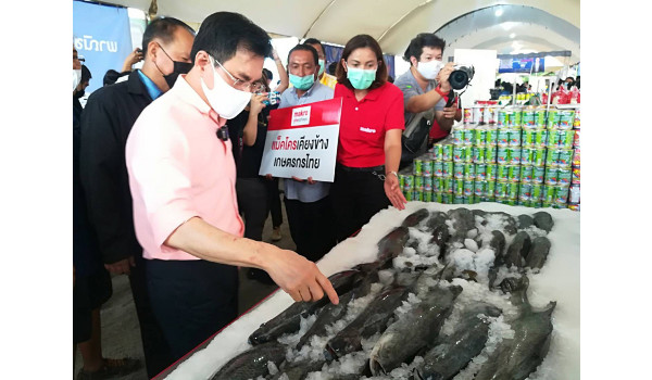 แม็คโคร จับมือ กระทรวงพาณิชย์ รวมใจสู้ภัยโควิด19 ช่วยเหลือเกษตรกร เลี้ยงปลากระพงขาว 3 น้ำทะเลสาบสงขลา