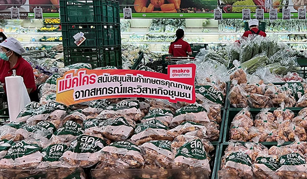 แม็คโคร ผนึก กรมส่งเสริมการเกษตร รุกช่วยวิสาหกิจชุมชนปลูกขิง จ.เพชรบูรณ์  เร่งรับซื้อกระจายขายทั่วประเทศ   หลังเกษตรกรประสบปัญหาหนัก ราคาต-ตุ้นทุนพุ่ง