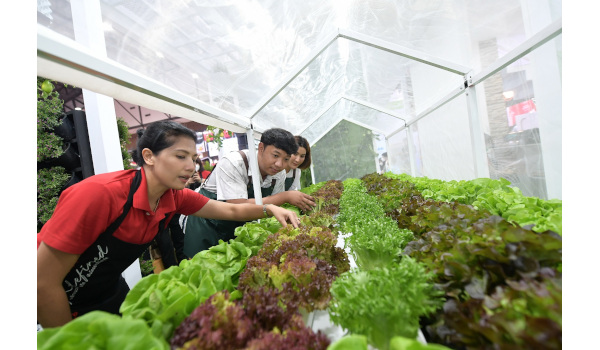 ธนวัฒน์ ว่องไวตระการ “Young Smart Farmer” เกษตรกรรุ่นใหม่  กับการพลิกแนวคิด เพิ่มมูลค่าผลผลิต ตอบเทรนด์ผู้บริโภค