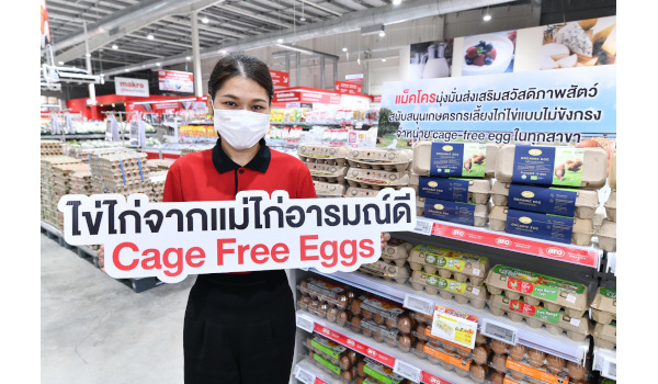 ‘แม็คโคร’ เดินหน้าส่งเสริมสวัสดิภาพสัตว์ จับมือพันธมิตรผลิตไข่ไก่จากแม่ไก่อารมณ์ดี ตั้งเป้าขยายการรับซื้อ-จำหน่าย ในราคาที่เอื้อมถึงได้แก่ผู้บริโภคและผู้ประกอบการ