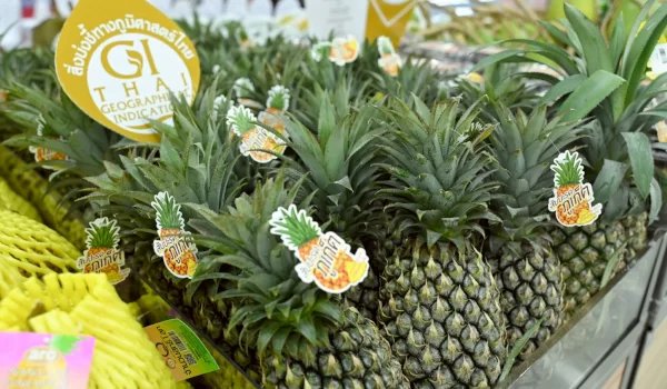 makro–Lotus’s Curates Premium Chinese New Year Offerings from Thai Farmers Delivering Value from Source to Table and Adding Meaning to the Festive Season